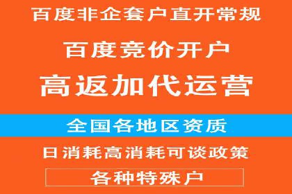 百度SEO推广技巧案例分析